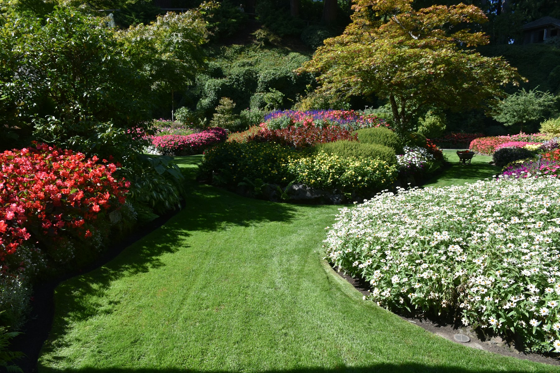 Gestaltungskonzept für Gärtnerei & Gartenbau